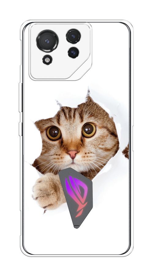 

Чехол на Asus ROG Phone 8 "Кот и бумага", Белый;коричневый, 45150-1