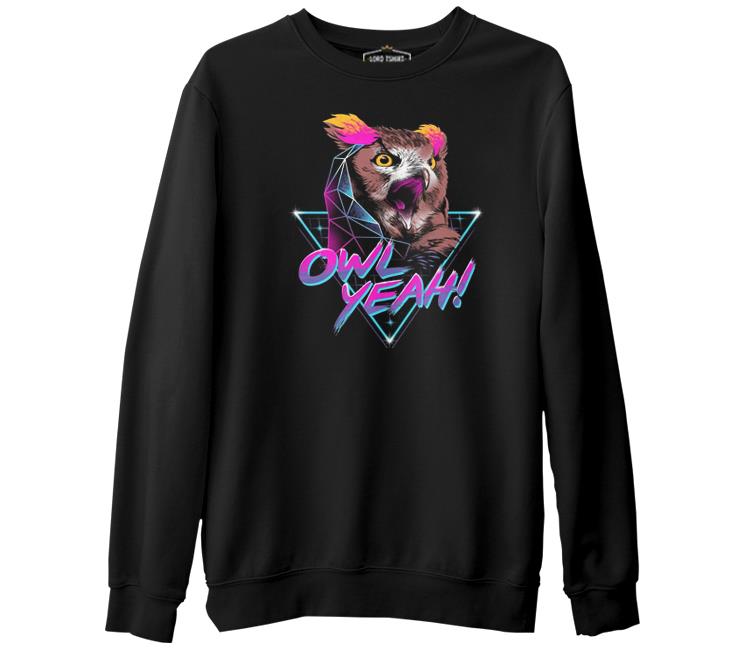 

Свитшот мужской Lord Tshirt SK-1687 черный S (доставка из-за рубежа), SK-1687