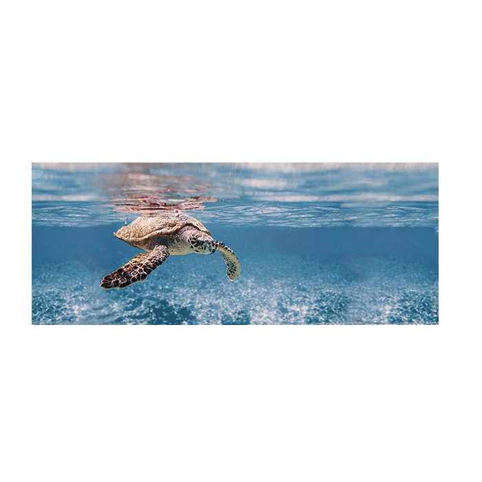 

Ocean Turtle Декор 20x50