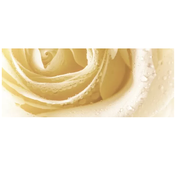 

Syntia Rose 3 Декор 20х50