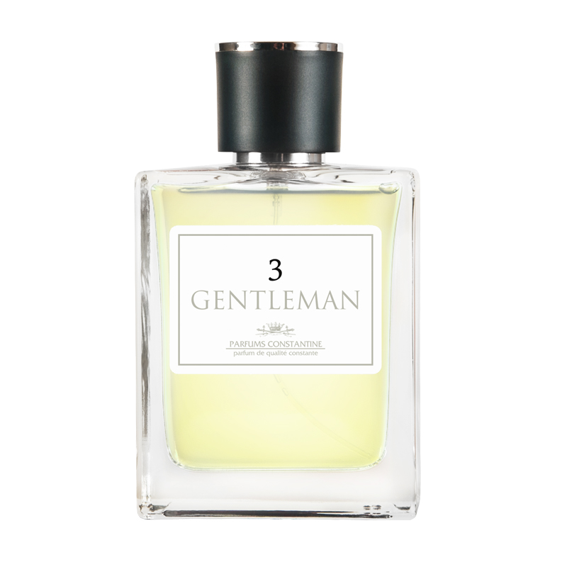 Мужская туалетная вода Parfums Constantine Gentleman №3 100 мл gentleman 2017 туалетная вода 60мл