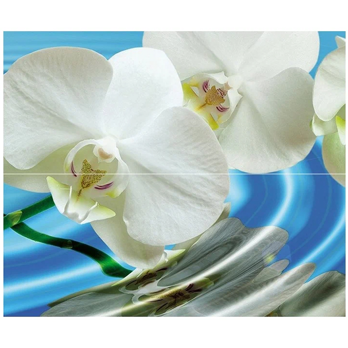 

Water Garden А Панно (из 2пл) 60х50