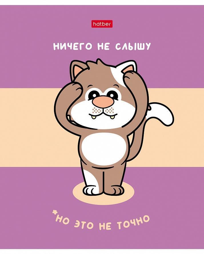 

Тетрадь Hatber в линейку 40 л, Креативные котики, Hatber