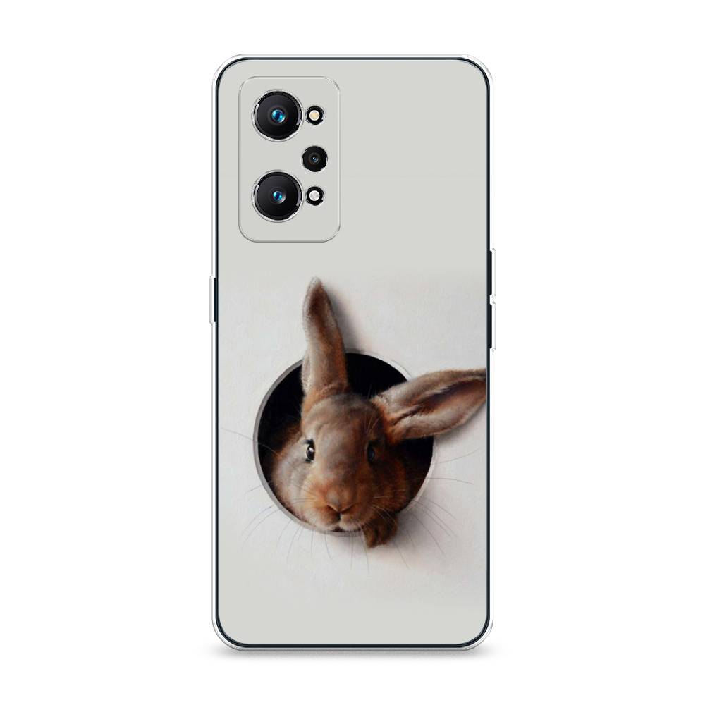 

Чехол на Realme GT Neo 2 "Любопытный кролик", Серый;коричневый, 257750-1