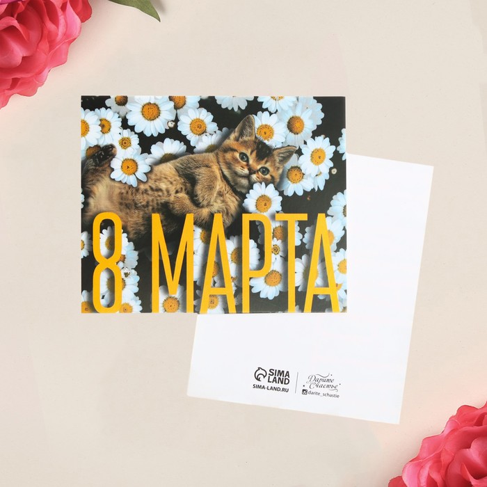 

Открытка мини «С 8 Марта!», котенок, 8,8 х 10,7 см, 8 Марта