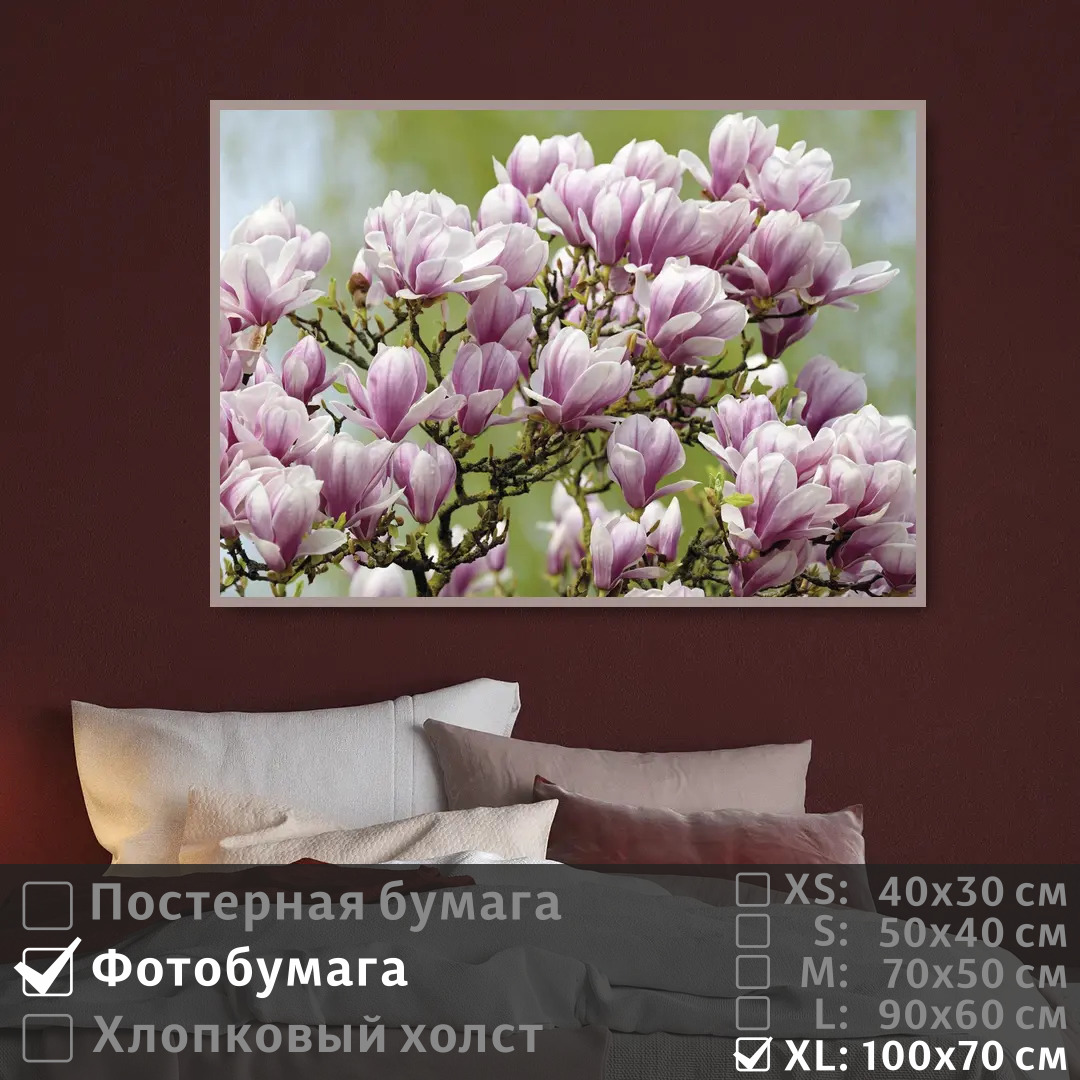 

Постер на фотобумаге ПолиЦентр Ветка магнолии 100х70 см, ВеткаМагнолии1
