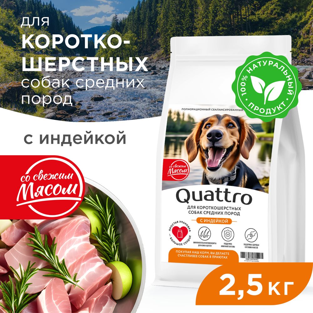 

Сухой корм для собак QUATTRO, средние короткошерстные породы, с индейкой, 2,5 кг