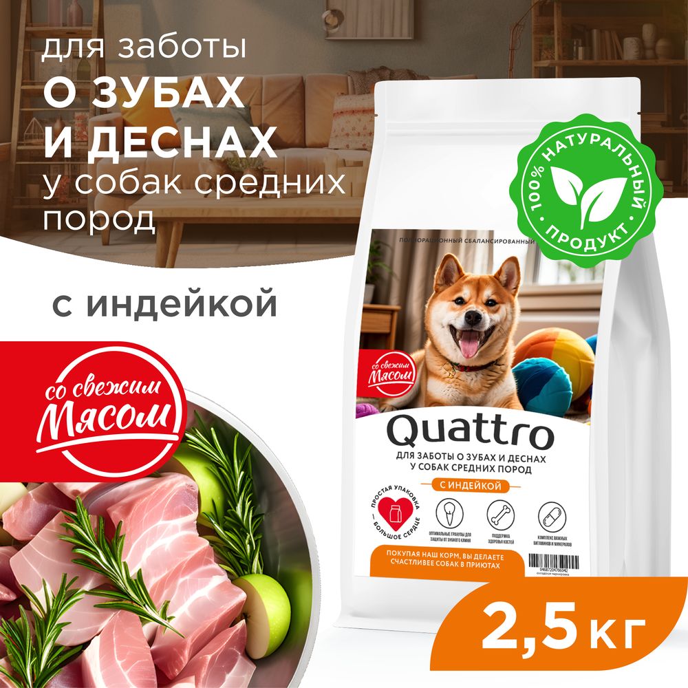 

Сухой корм для собак QUATTRO, средние породы, забота о зубах и деснах, с индейкой, 2,5 кг