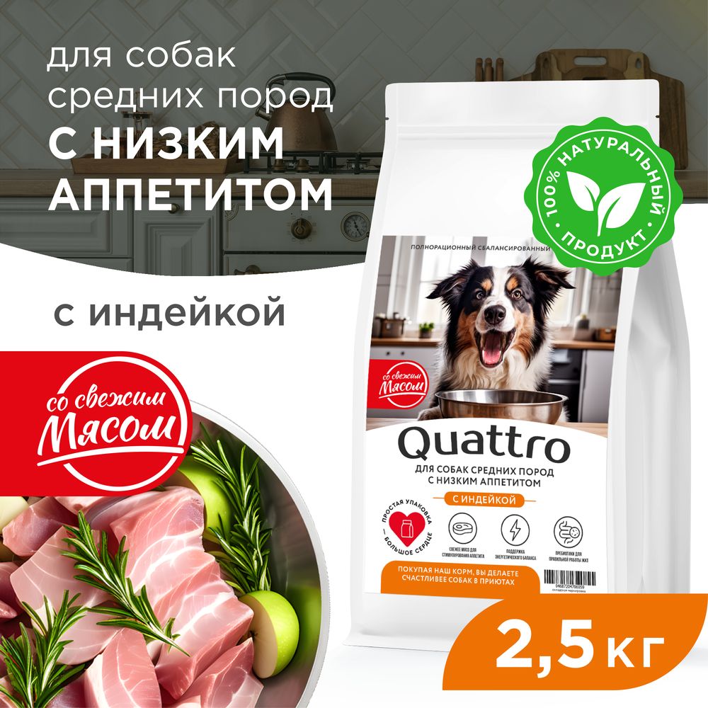 

Сухой корм для собак QUATTRO, средние породы, низкий аппетит, с индейкой, 2,5 кг