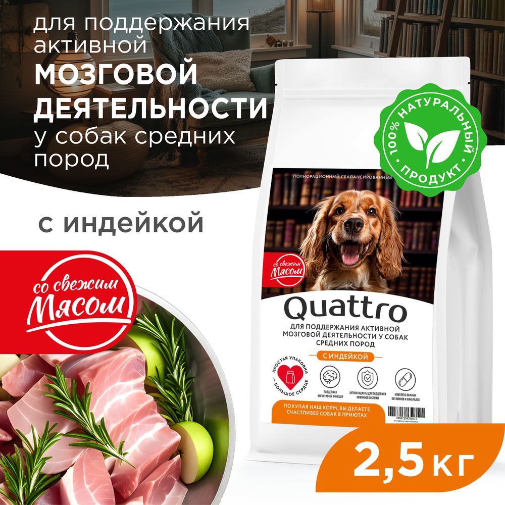 

Сухой корм для собак QUATTRO, средние породы, для памяти и мозга, с индейкой, 2,5 кг