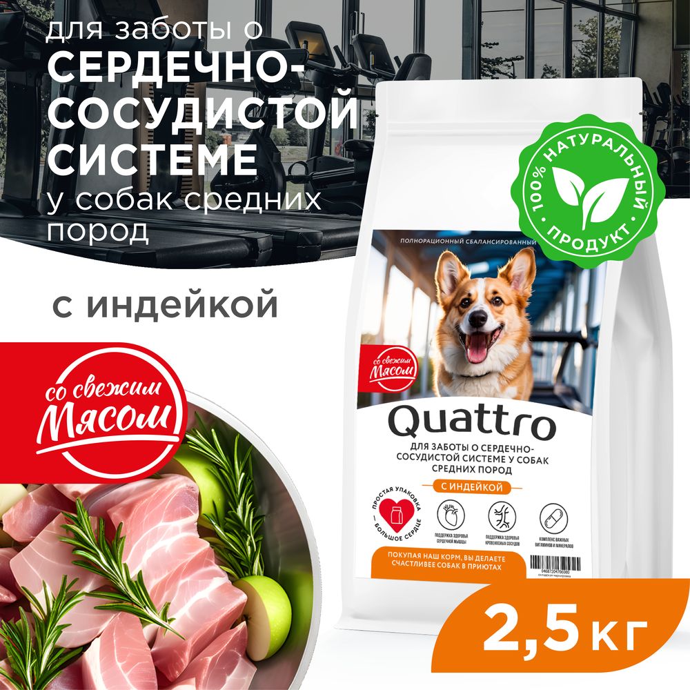 

Сухой корм для собак QUATTRO, средние породы, забота о сердце и сосудах, индейка, 2,5 кг