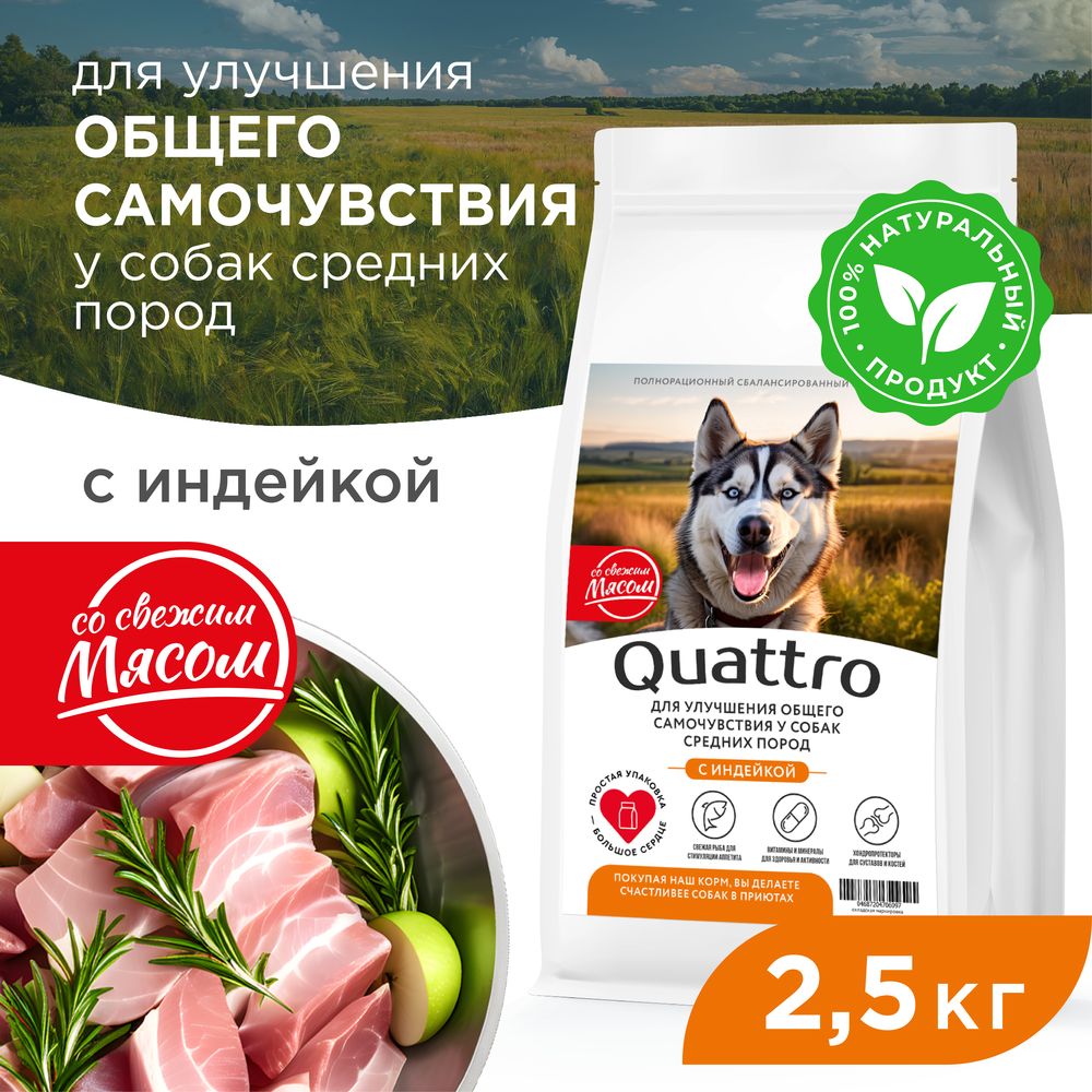 Сухой корм для собак QUATTRO, средние породы, улучшение самочувствия, с индейкой, 2,5 кг