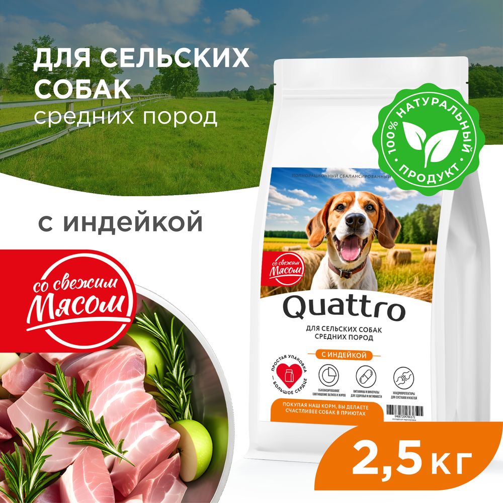 

Сухой корм для собак QUATTRO, средние породы, для живущих в деревне, с индейкой, 2,5 кг