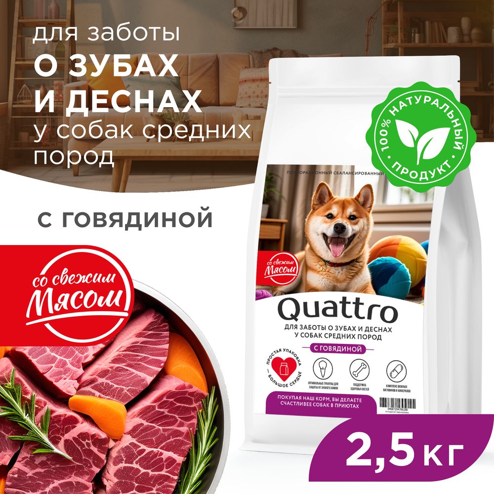 Сухой корм для собак QUATTRO, средние породы, забота о зубах и деснах, с говядиной, 2,5 кг