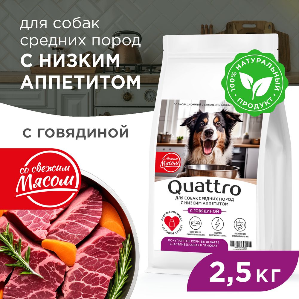 Сухой корм для собак QUATTRO, средние породы, низкий аппетит, с говядиной, 2,5 кг