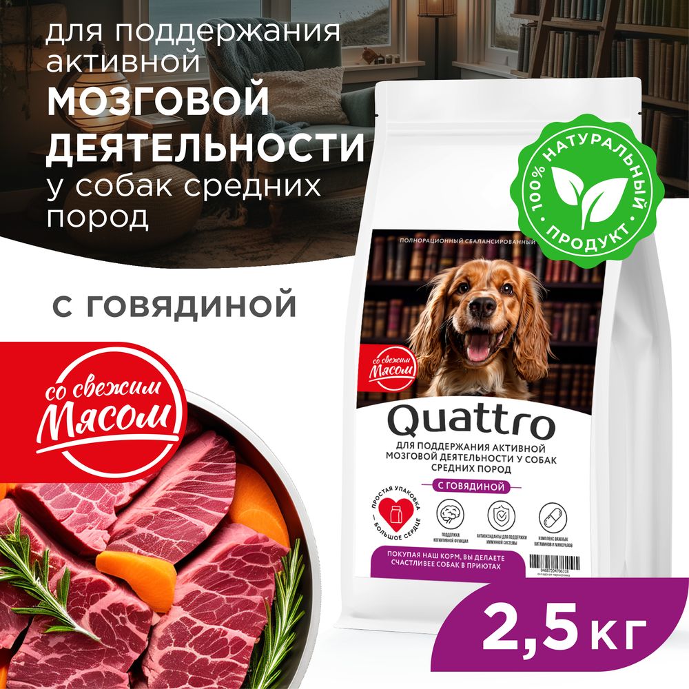 Сухой корм для собак QUATTRO, средние породы, для памяти и мозга, с говядиной, 2,5 кг