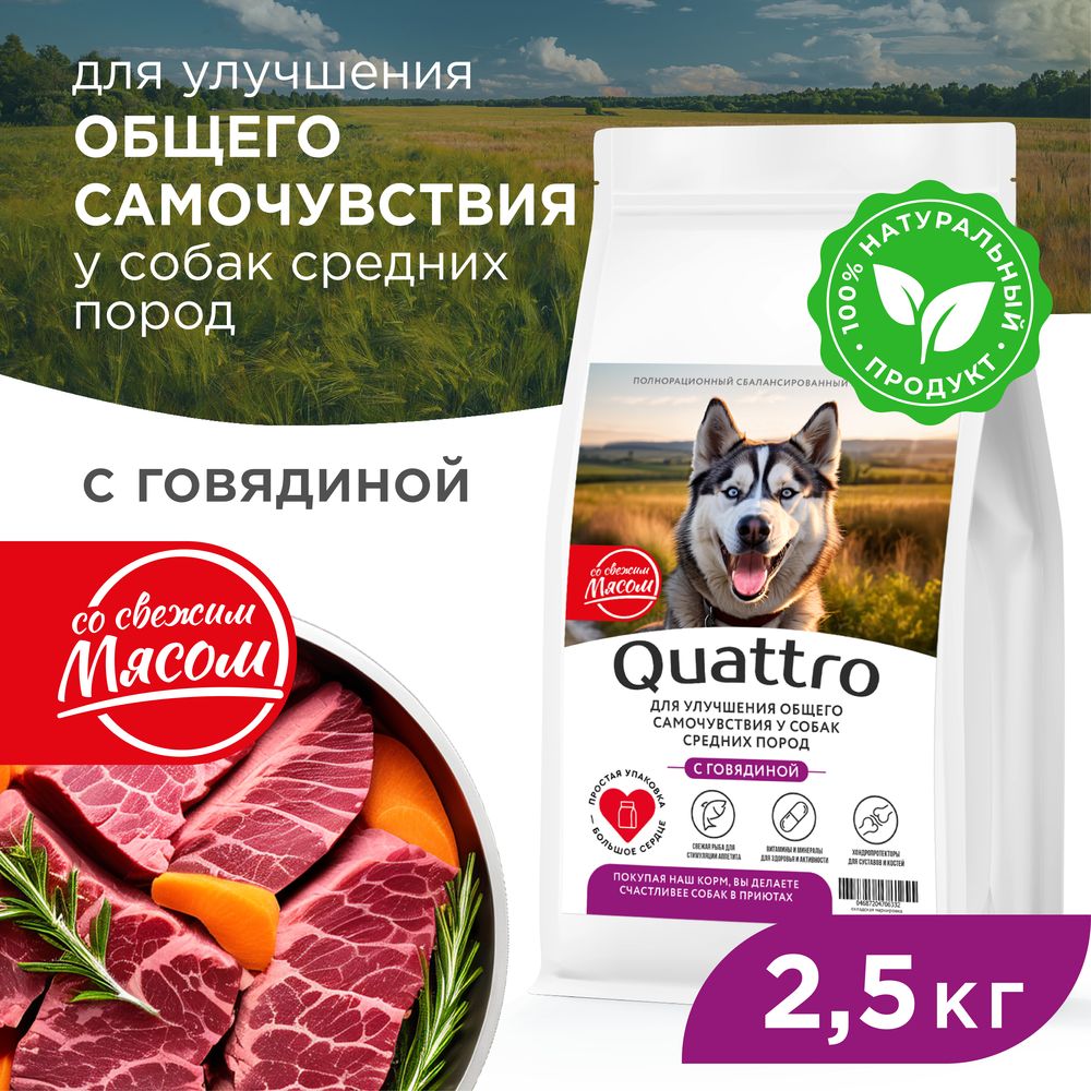 Сухой корм для собак QUATTRO, средние породы, улучшение самочувствия, с говядиной, 2,5 кг