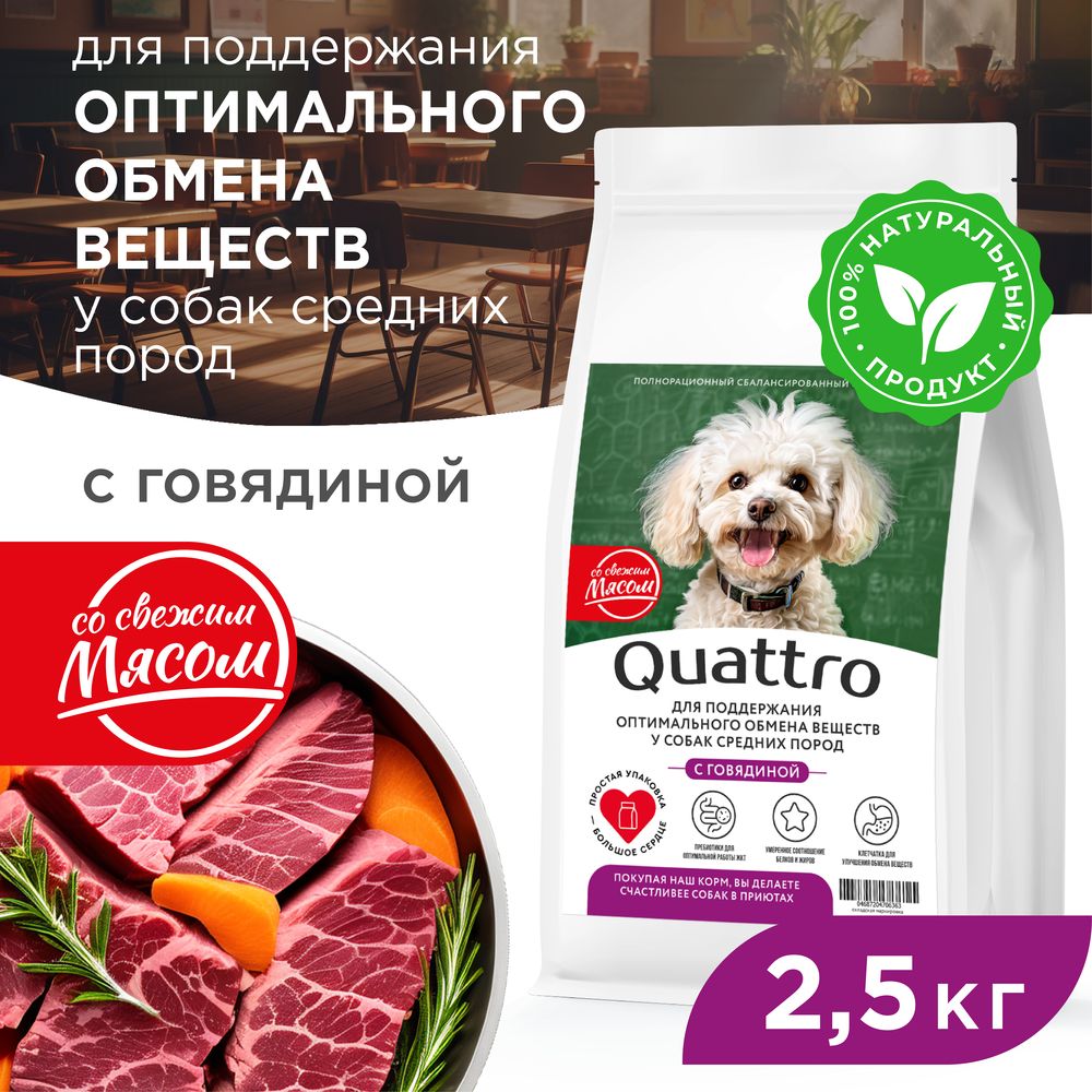 Сухой корм для собак QUATTRO, средние породы, забота об обмене веществ, с говядиной 2,5 кг