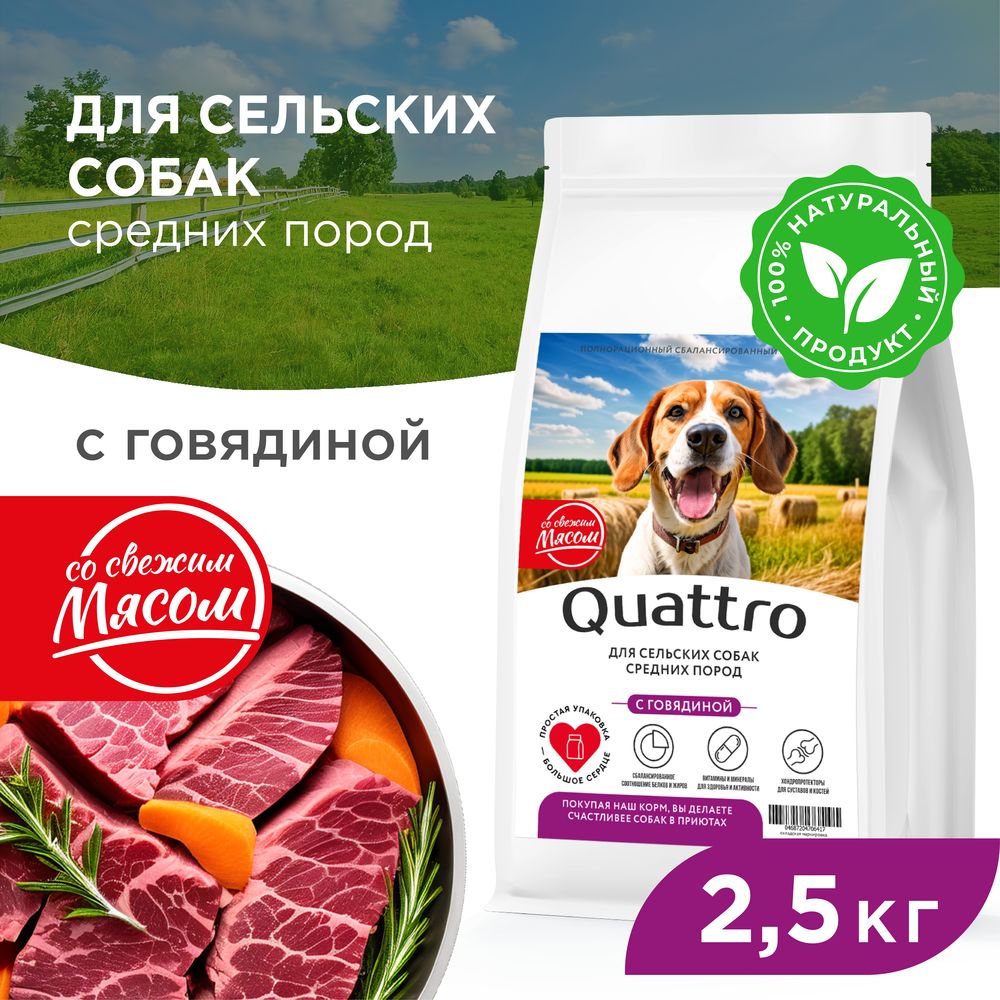 Сухой корм для собак QUATTRO, средние породы, для живущих в деревне, с говядиной, 2,5 кг