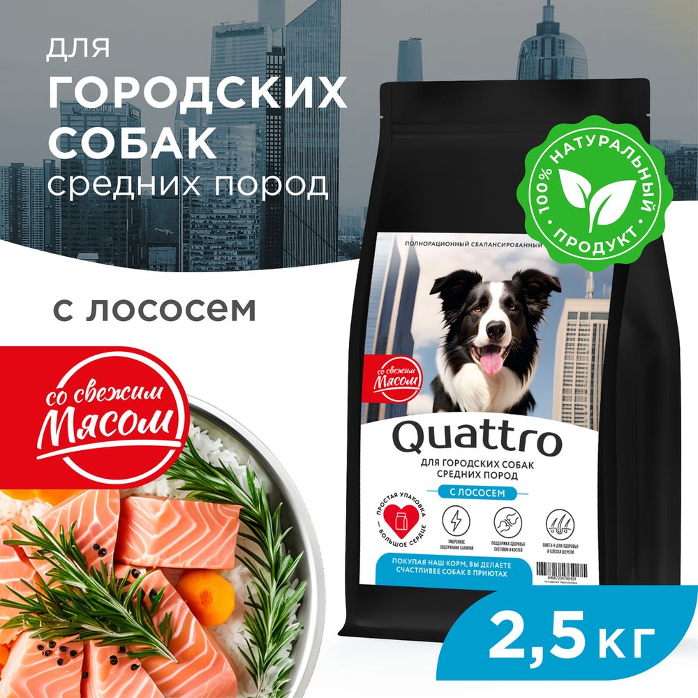 

Сухой корм для собак QUATTRO, средние породы, для живущих в городе, с лососем, 2,5 кг