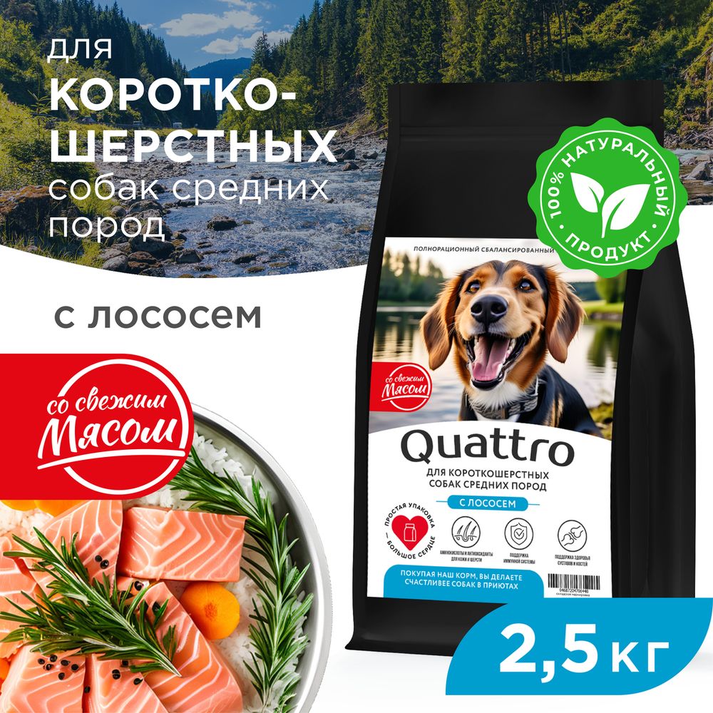 

Сухой корм для собак QUATTRO, средние короткошерстные породы, с лососем, 2,5 кг