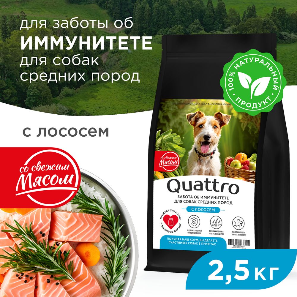 

Сухой корм для собак QUATTRO, средние породы, забота об иммунитете, с лососем, 2,5 кг