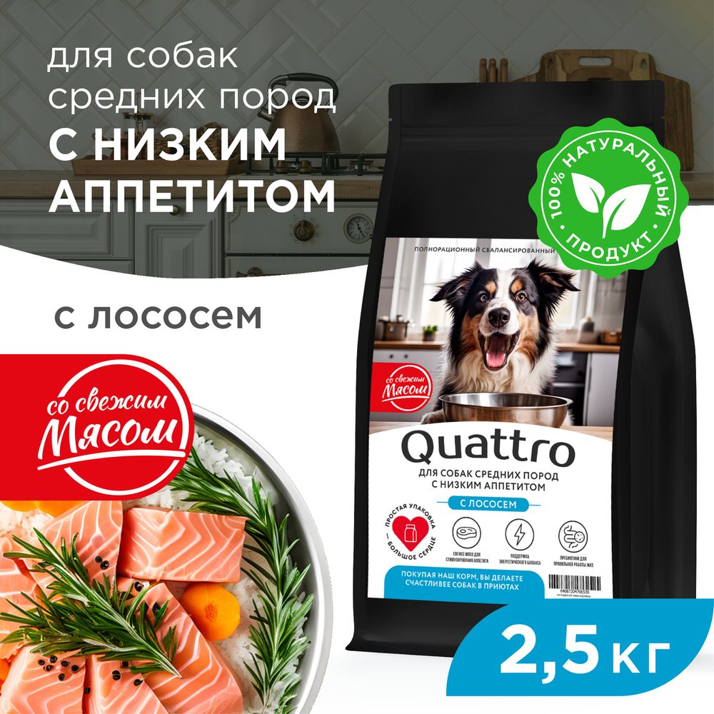 

Сухой корм для собак QUATTRO, средние породы, низкий аппетит, с лососем, 2,5 кг