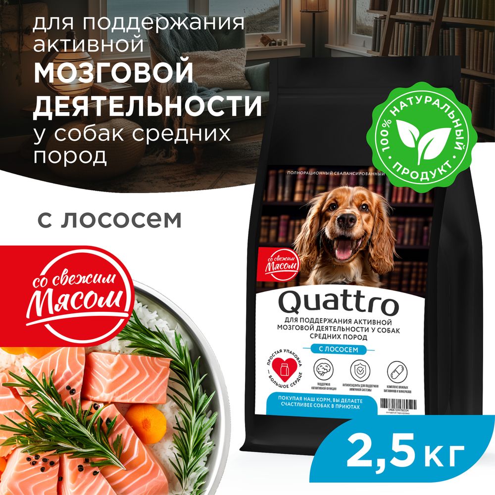 Сухой корм для собак QUATTRO, средние породы, для памяти и мозга, с лососем, 2,5 кг