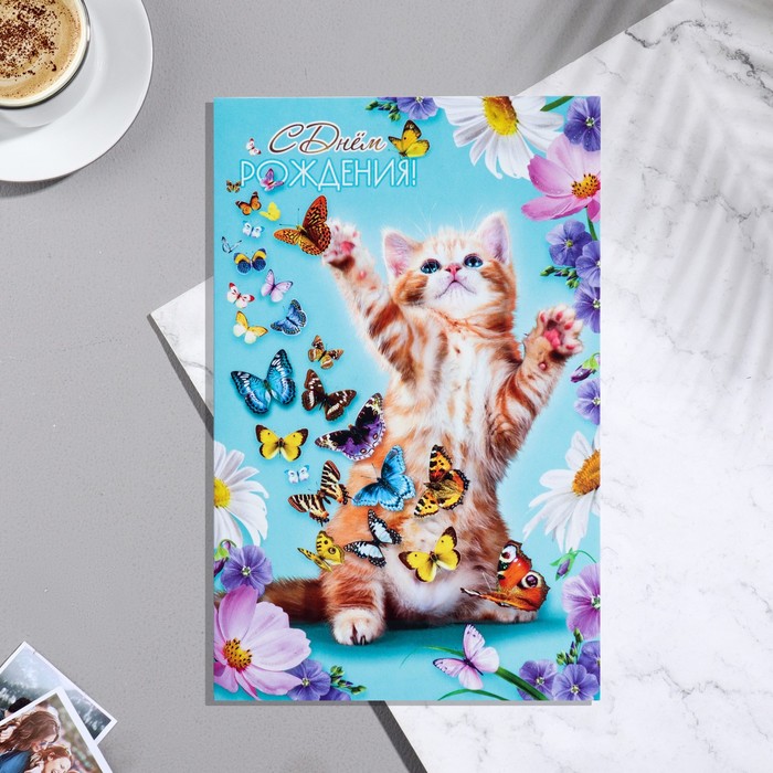 

Открытка сложнотехническая А5 "С Днем Рождения!" котик, бабочки