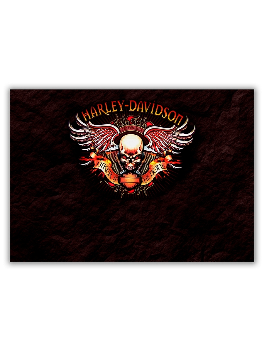 

Декоративный магнит DRABS Biker to the bone 21х29 см