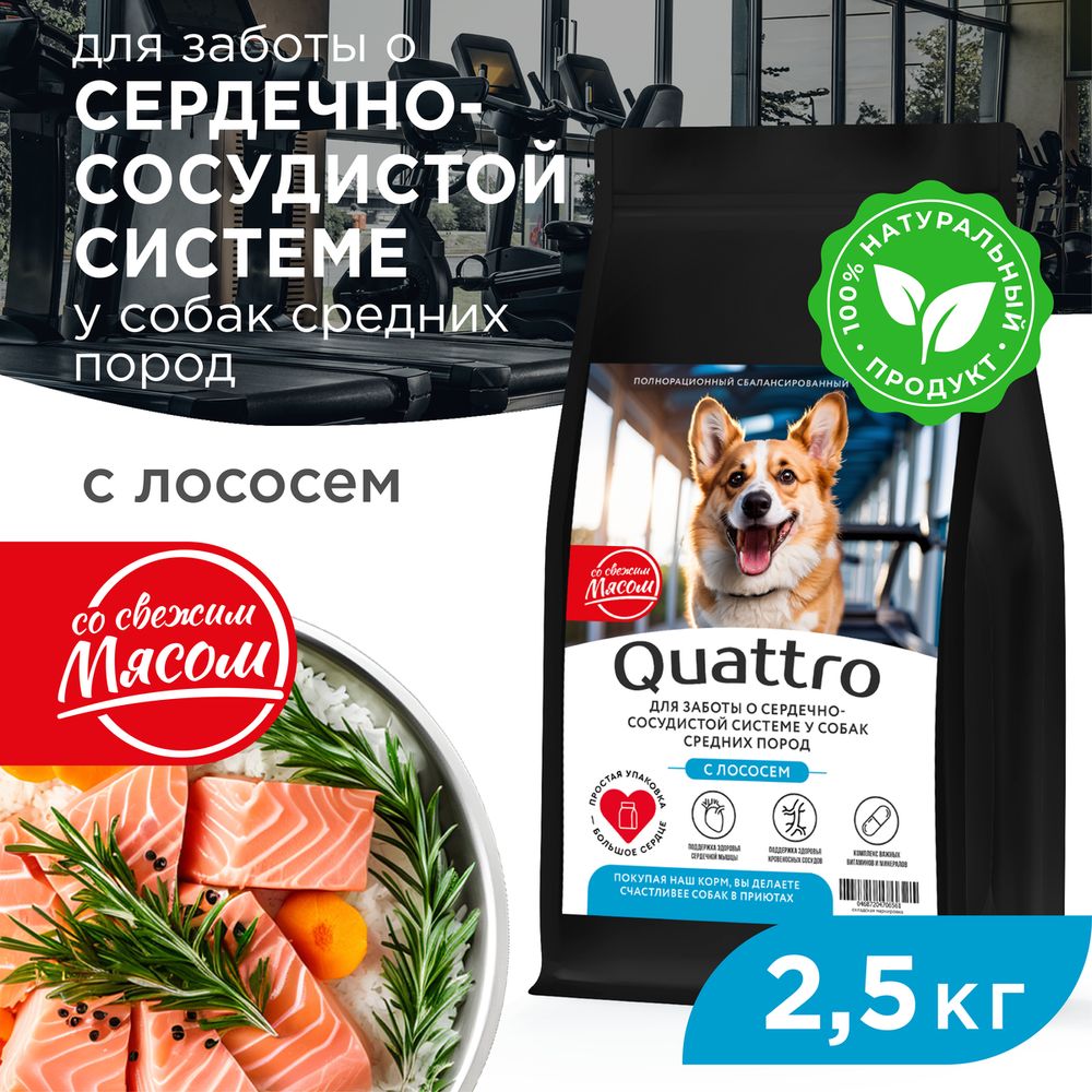 Сухой корм для собак QUATTRO, средние породы, забота о сердце и сосудах, с лососем, 2,5 кг