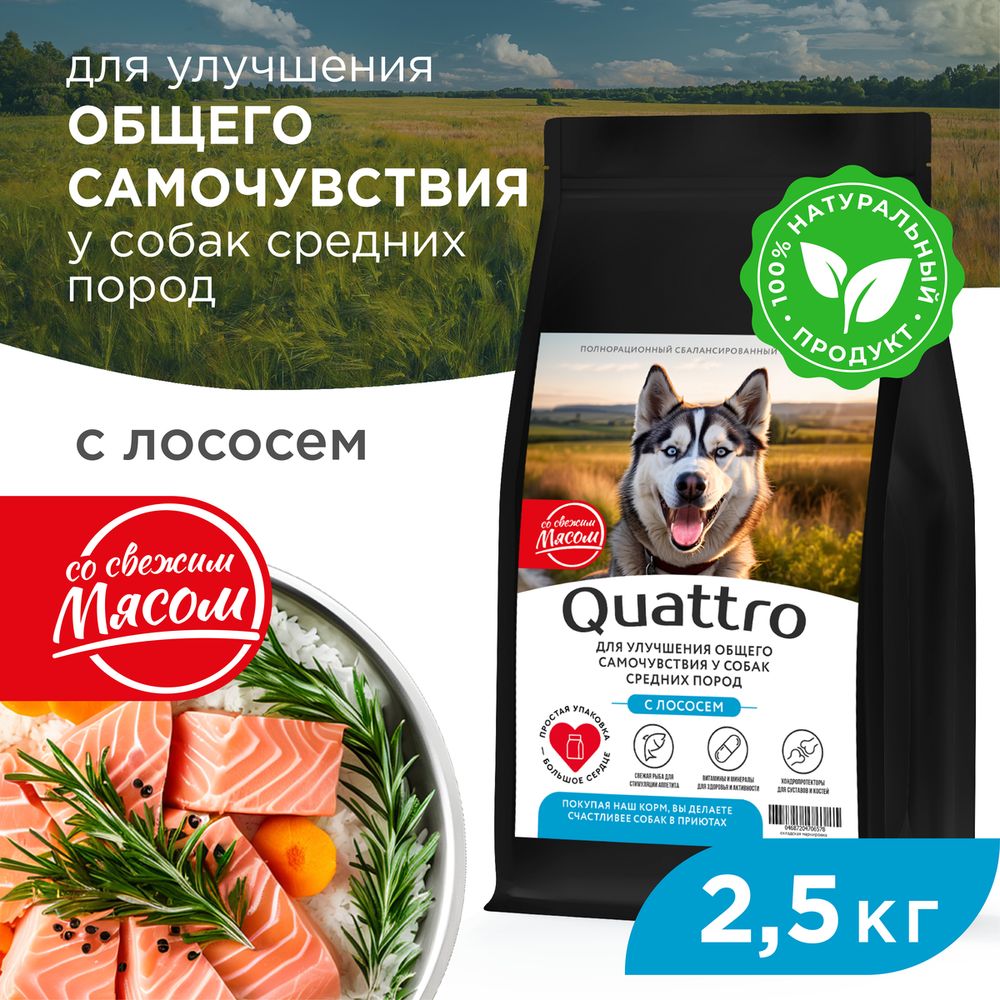 

Сухой корм для собак QUATTRO, средние породы, улучшение самочувствия, с лососем, 2,5 кг