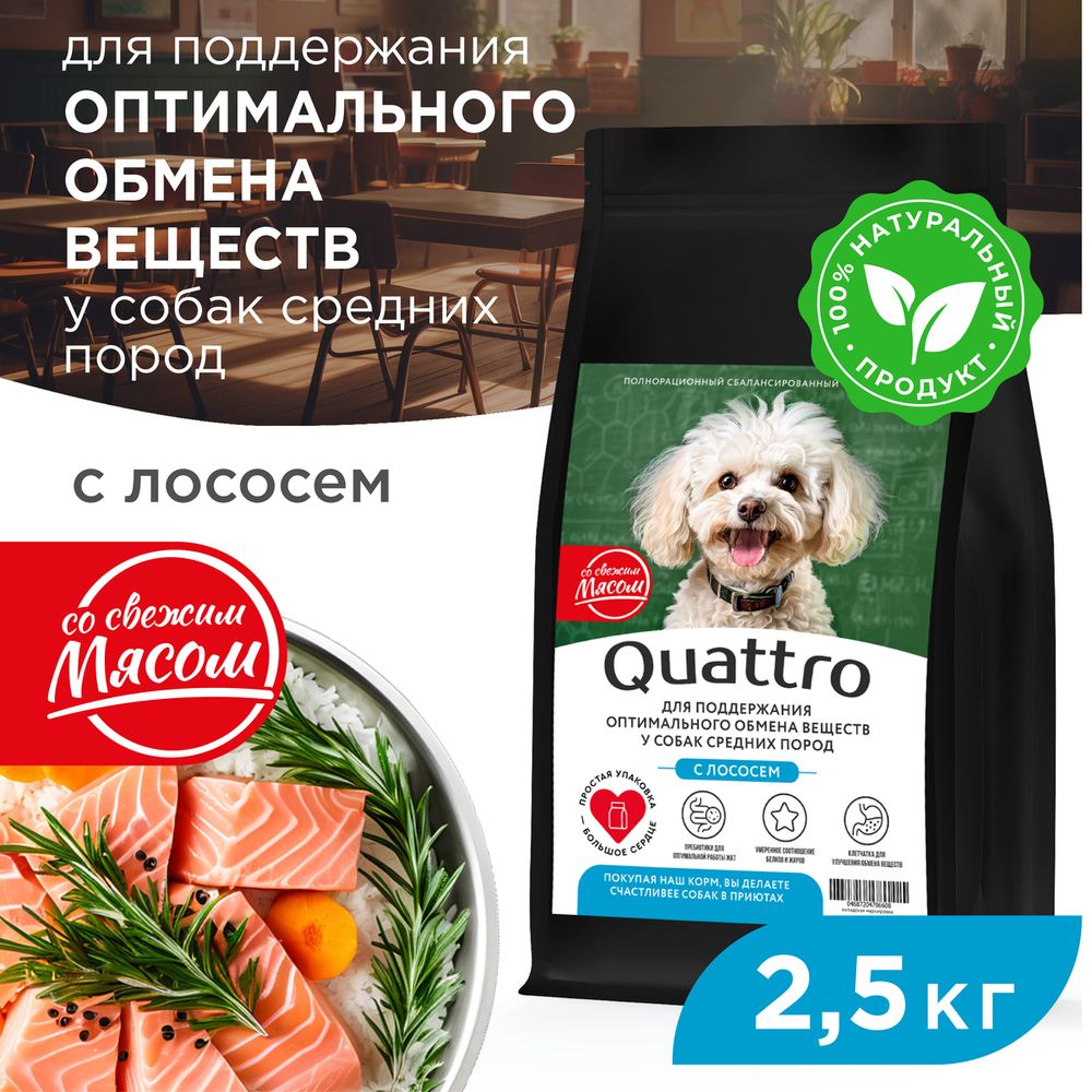 

Сухой корм для собак QUATTRO, средние породы, забота об обмене веществ, с лососем, 2,5 кг