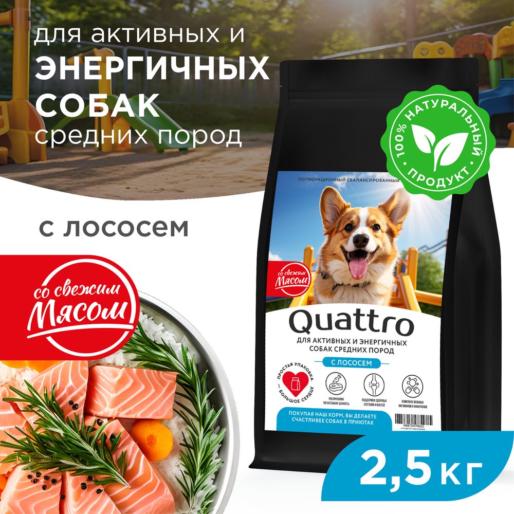 

Сухой корм для собак QUATTRO, средние породы, для активных и энергичных, с лососем, 2,5 кг