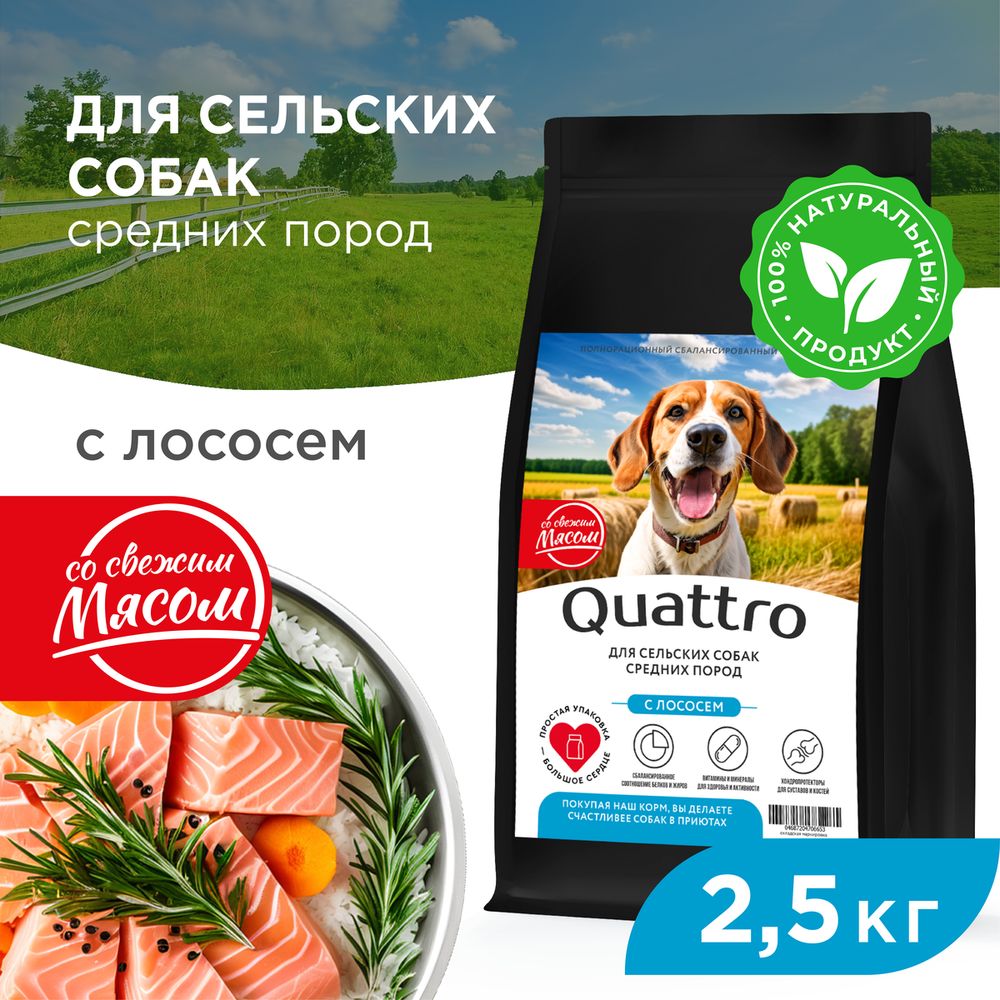 

Сухой корм для собак QUATTRO, средние породы, для живущих в деревне, с лососем, 2,5 кг