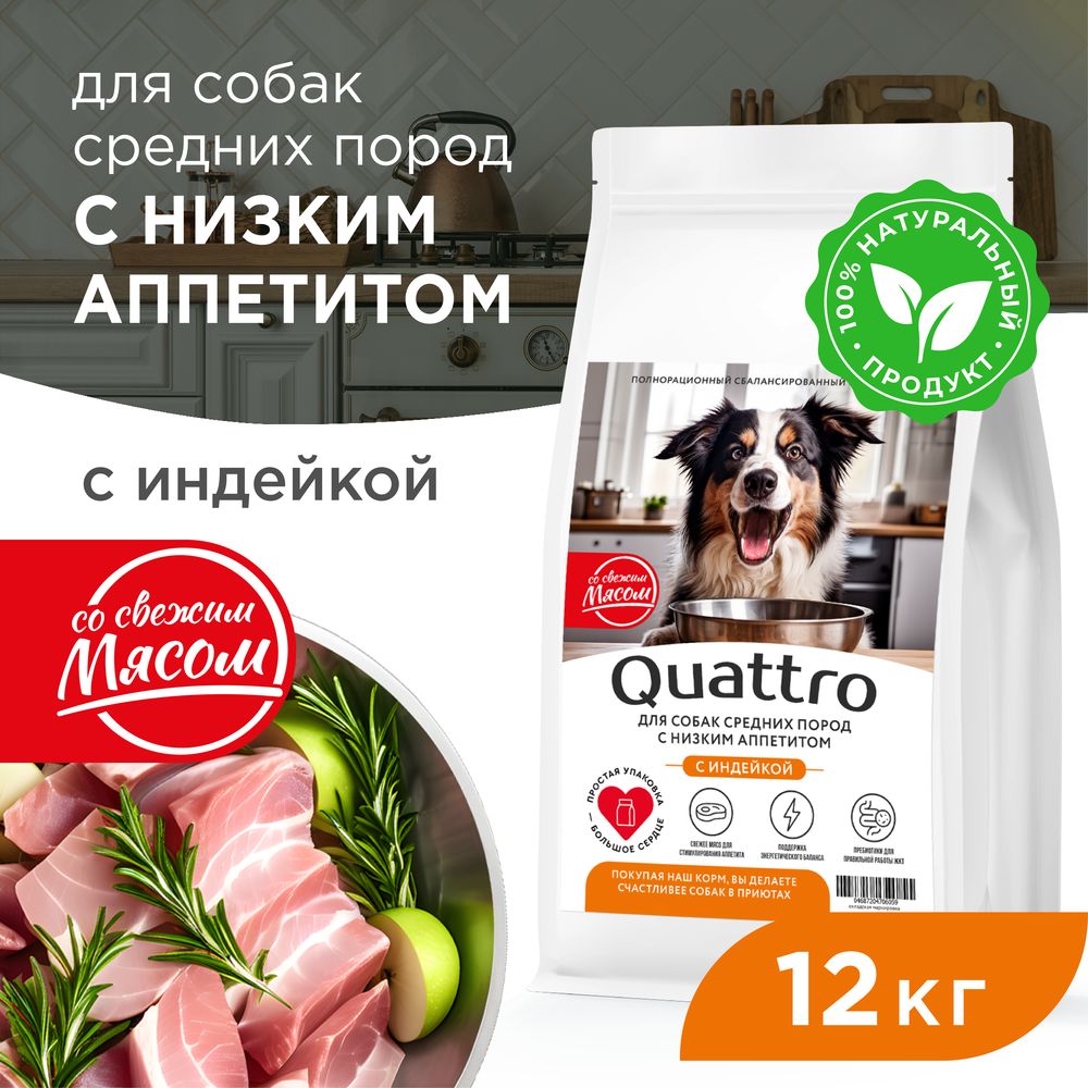 

Сухой корм для собак QUATTRO, средние породы, низкий аппетит, с индейкой, 12 кг