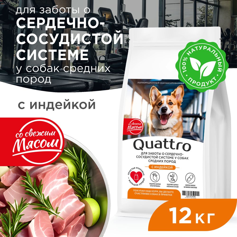 

Сухой корм для собак QUATTRO, средние породы, забота о сердце и сосудах, индейка, 12 кг