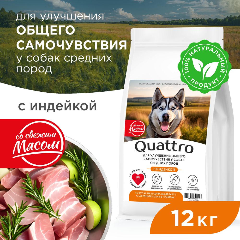 Сухой корм для собак QUATTRO, средние породы, улучшение самочувствия, с индейкой, 12 кг