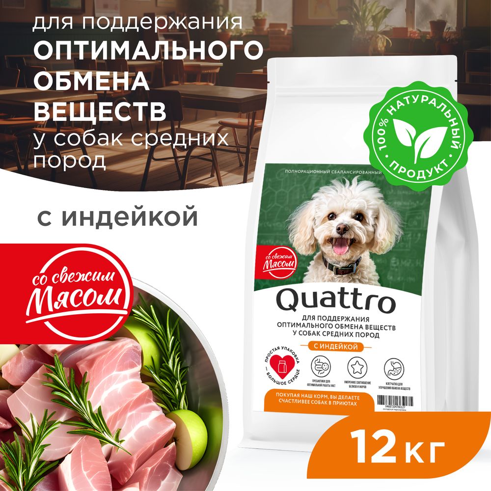 

Сухой корм для собак QUATTRO, средние породы, забота об обмене веществ, с индейкой, 12 кг