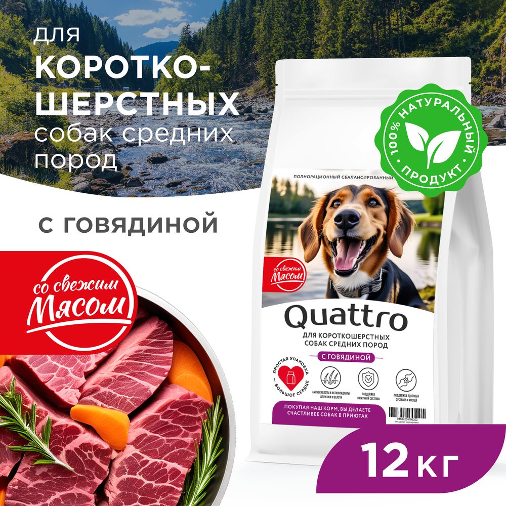 

Сухой корм для собак QUATTRO, средние короткошерстные породы, с говядиной, 12 кг