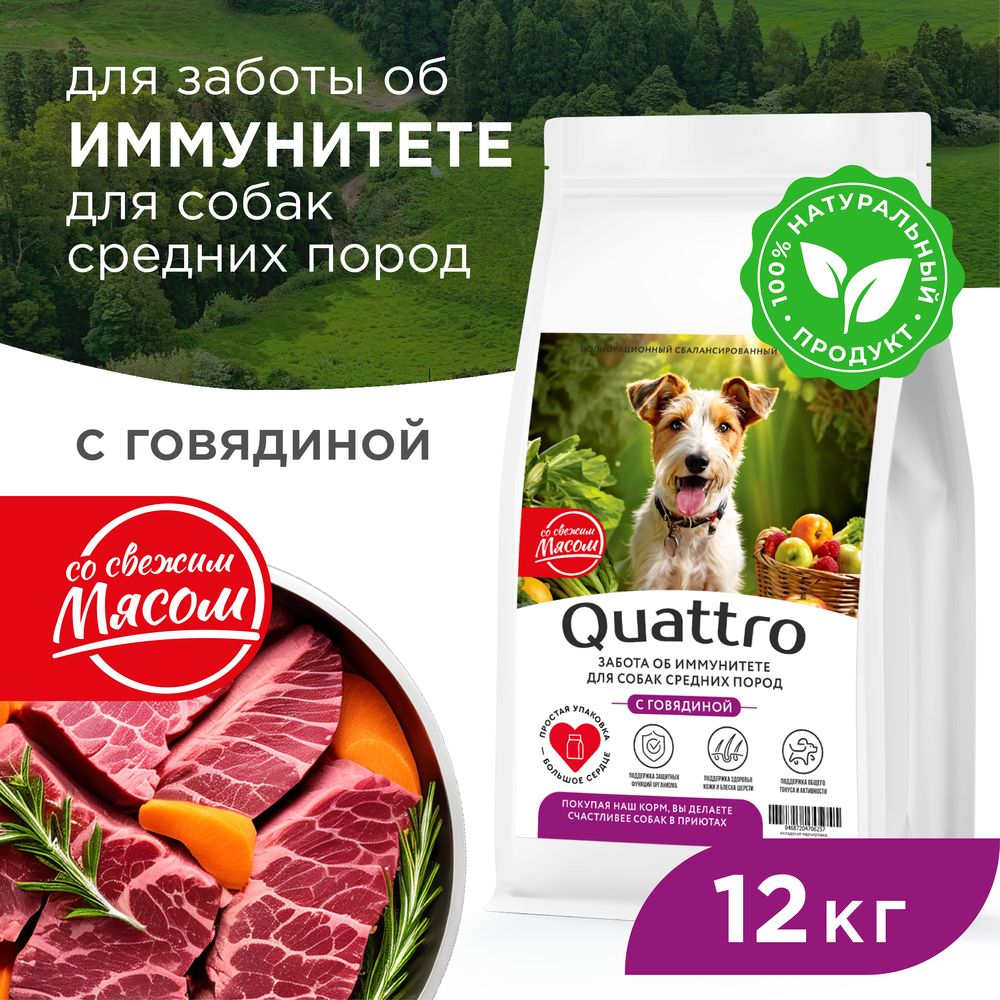 

Сухой корм для собак QUATTRO, средние породы, забота об иммунитете, с говядиной, 12 кг