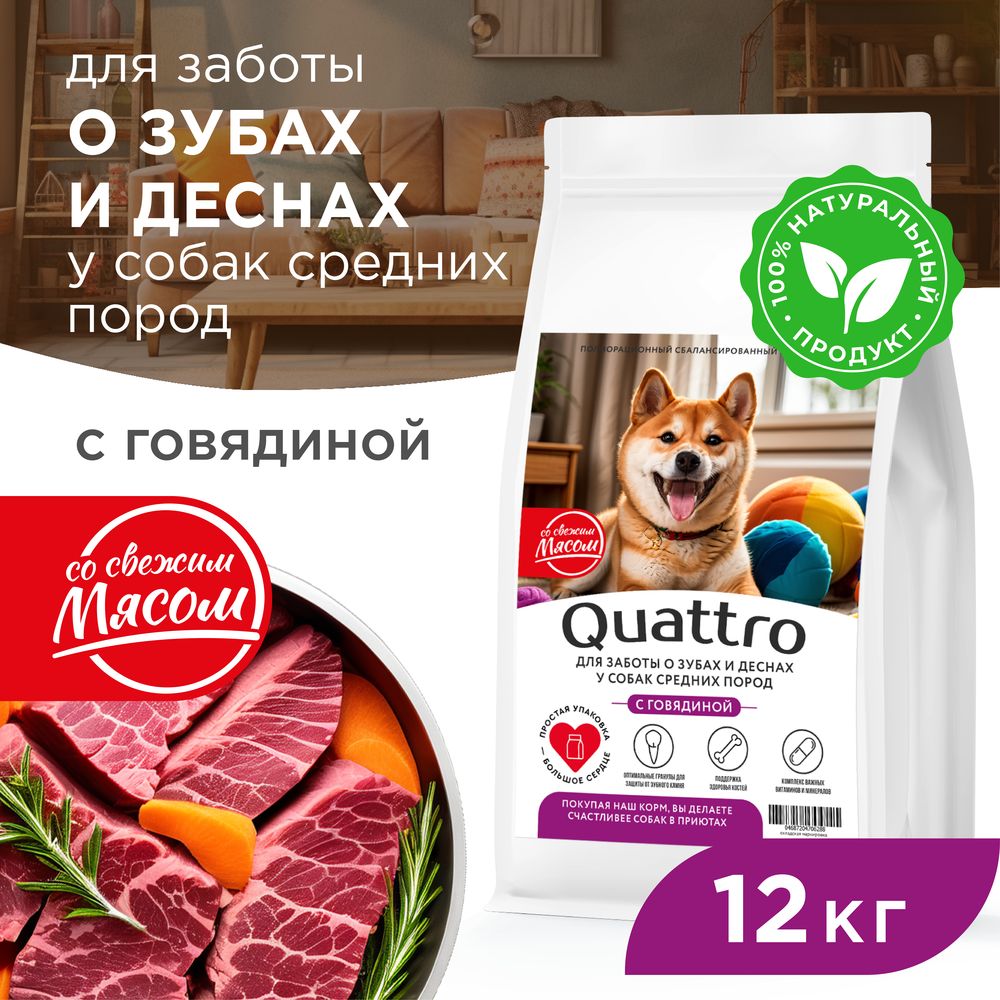 

Сухой корм для собак QUATTRO, средние породы, забота о зубах и деснах, с говядиной, 12 кг