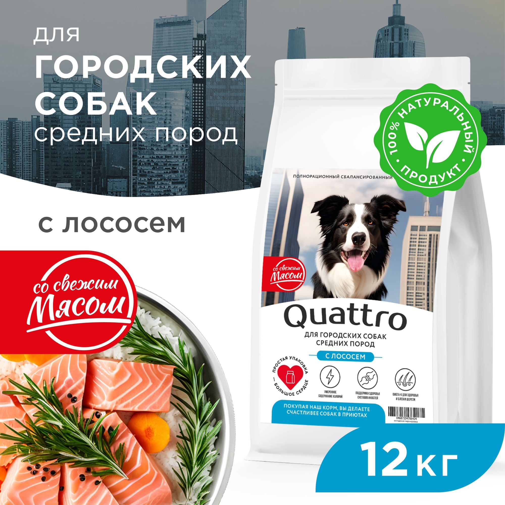 

Сухой корм для собак QUATTRO, средние породы, для живущих в городе, с лососем, 12 кг