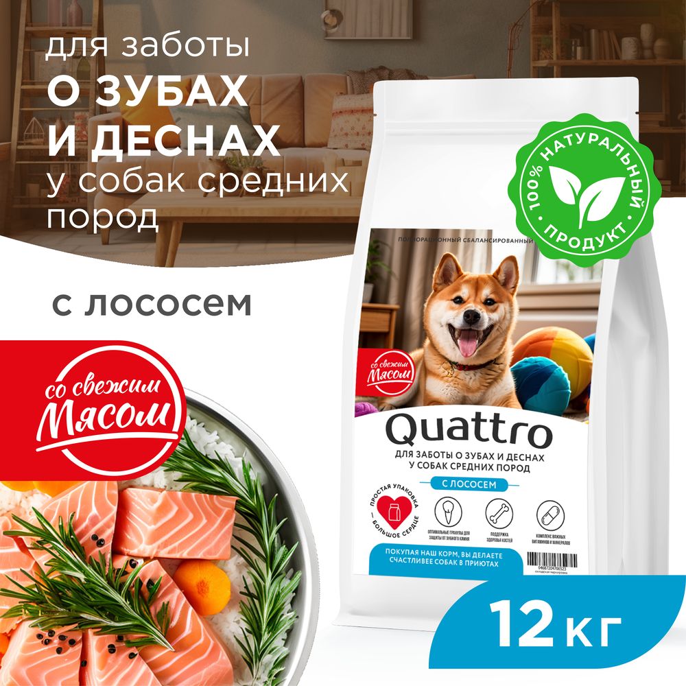 

Сухой корм для собак QUATTRO, средние породы, забота о зубах и деснах, с лососем, 12 кг