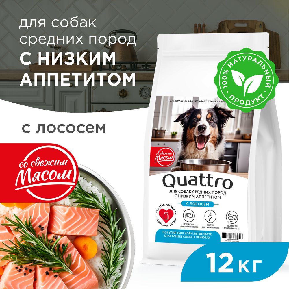 

Сухой корм для собак QUATTRO, средние породы, низкий аппетит, с лососем, 12 кг