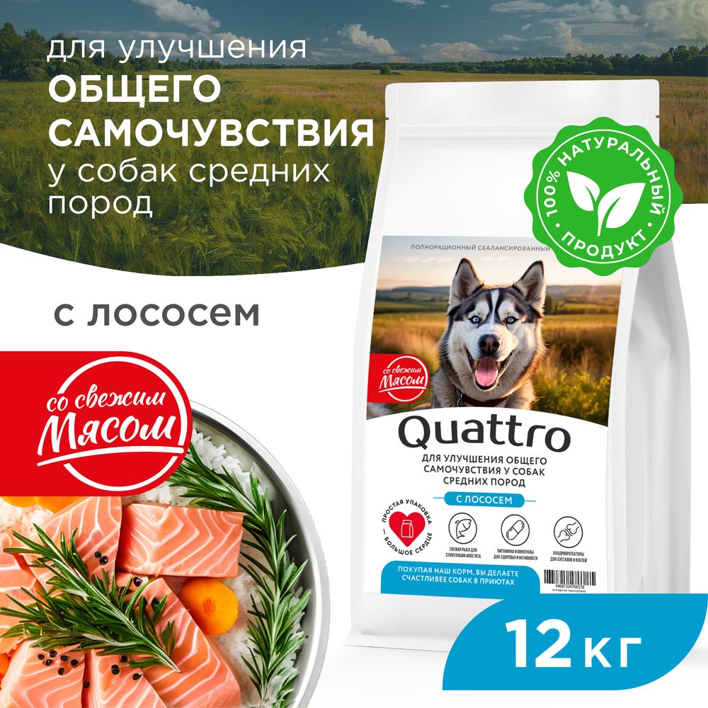

Сухой корм для собак QUATTRO, средние породы, улучшение самочувствия, с лососем, 12 кг