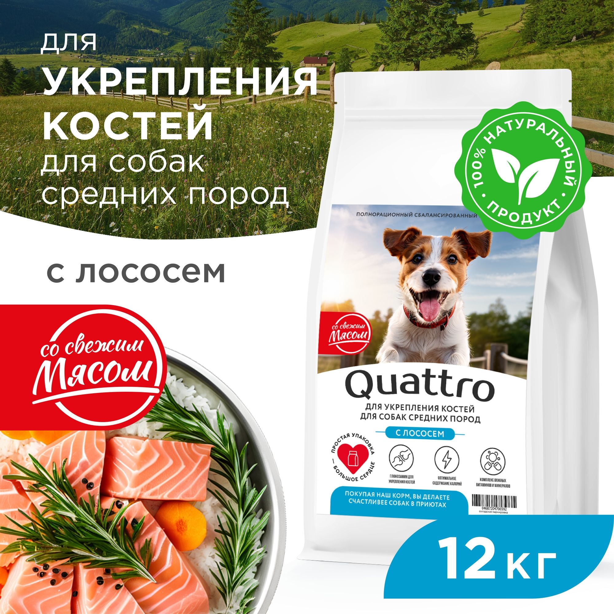

Сухой корм для собак QUATTRO, средние породы, укрепление костей, с лососем, 12 кг