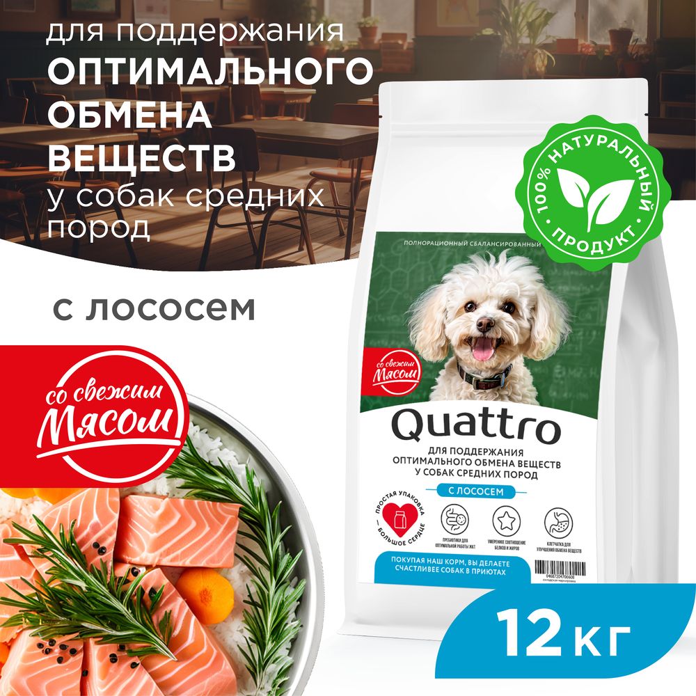 

Сухой корм для собак QUATTRO, средние породы, забота об обмене веществ, с лососем, 12 кг