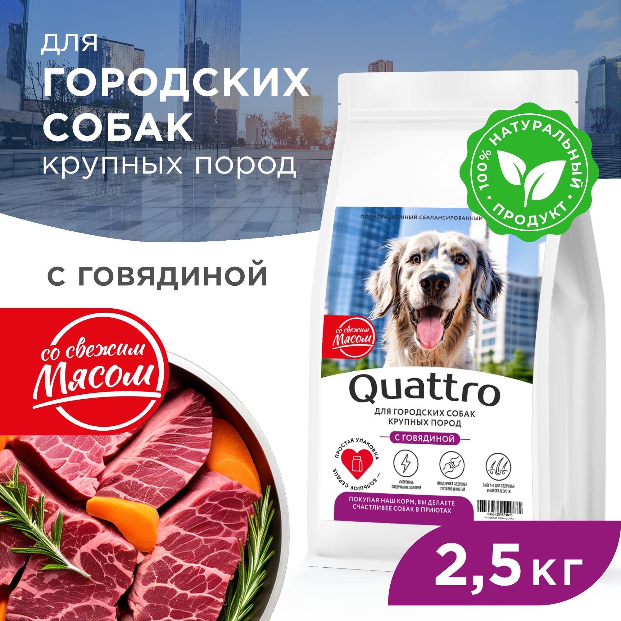 Сухой корм для собак QUATTRO, крупные породы, для живущих в городе, с говядиной, 2,5 кг