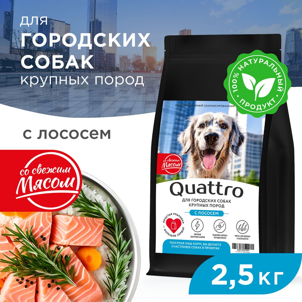 

Сухой корм для собак QUATTRO, крупные породы, для живущих в городе, с лососем, 2,5 кг
